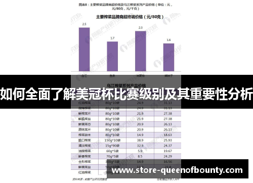 如何全面了解美冠杯比赛级别及其重要性分析