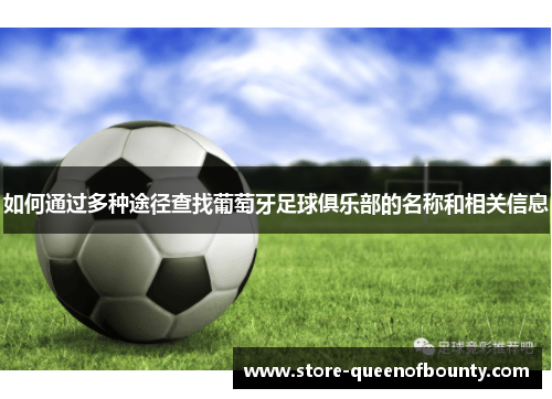 如何通过多种途径查找葡萄牙足球俱乐部的名称和相关信息