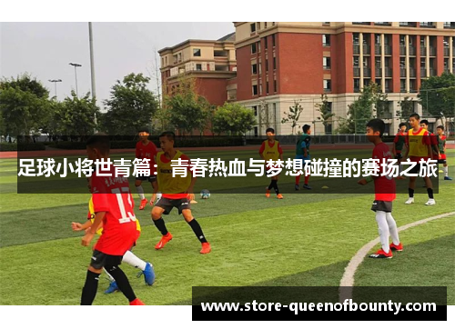 足球小将世青篇：青春热血与梦想碰撞的赛场之旅
